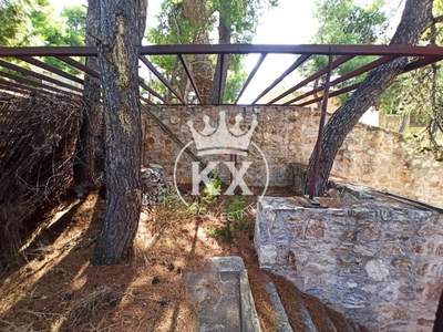 תמונת בית, דיוניסוס, אתונה למכירה (0)