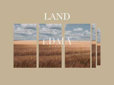 תמונת מגרש, קסנדרה למכירה (0)