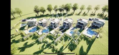 תמונת דופלקס, קסנדרה למכירה (1)