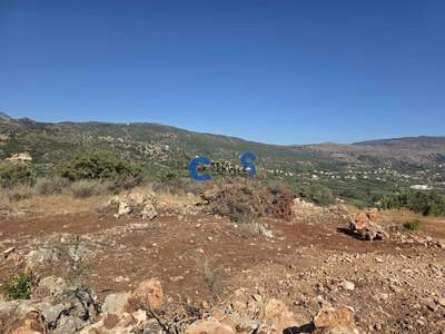 תמונת מגרש, אפוקורנס למכירה (0)