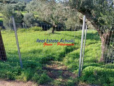 תמונת מגרש, איגאליאה למכירה (1)