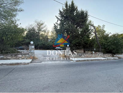 תמונת מגרש, דיוניסוס למכירה (0)