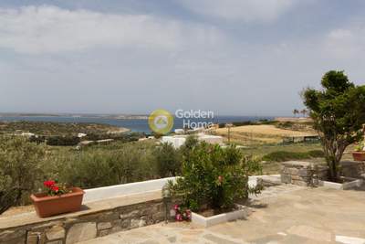 תמונת דופלקס, פארוס למכירה (0)