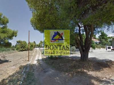 תמונת מגרש, מליסייה למכירה (0)