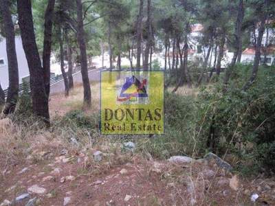 תמונת מגרש, דיוניסוס למכירה (1)