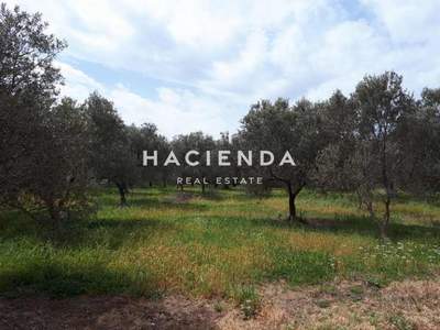 תמונת מונמוואסיה למכירה (1)