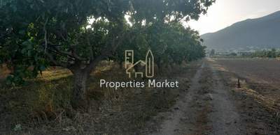 תמונת מגרש, אנאוויסוס, סרוניקוס, אתונה למכירה (1)