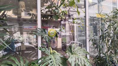 תמונת דירה, זוגרפו למכירה (0)