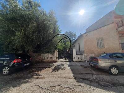 תמונת מגרש, דיוניסוס למכירה (0)