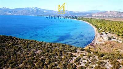 תמונת , גרמאטיקו, מרתון, אתונה למכירה (0)