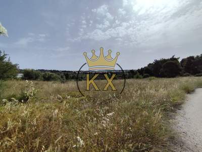 תמונת מגרש, אורופוס, אתונה למכירה (1)