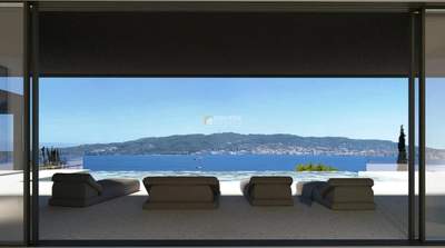 תמונת ארמיונידה, פלופונס למכירה (1)