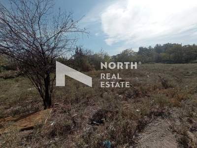 תמונת מגרש, קורדליו - אבוסמוס למכירה (0)