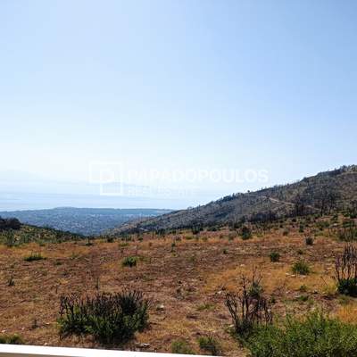 תמונת דירה, מרתון למכירה (0)