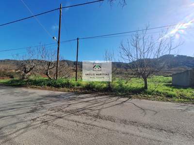 תמונת קורפו למכירה (0)