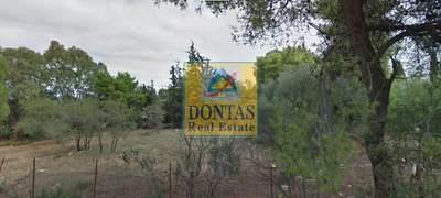 תמונת מגרש, קיפיסיה למכירה (1)