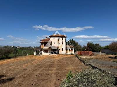 תמונת תרמיקוס למכירה (0)