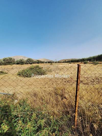 תמונת שטח חקלאי, לאבראוטיקי למכירה (1)