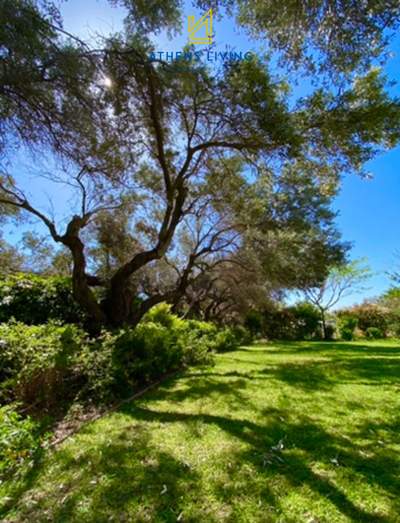 תמונת בית פרטי, נאה מאקרי, מרתון למכירה (1)