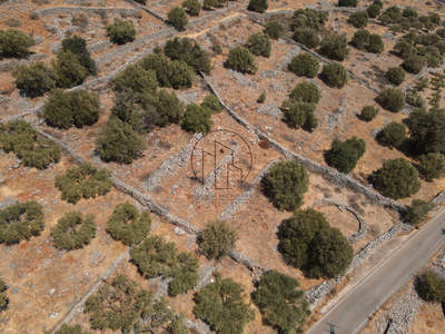 תמונת מגרש, אגיוס ניקולאוס  למכירה (1)