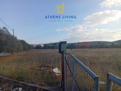 תמונת מגרש, קורופי למכירה (1)