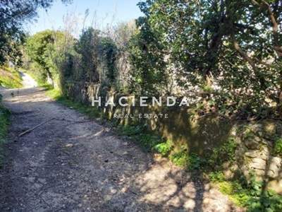 תמונת מגרש, זקינתוס למכירה (1)