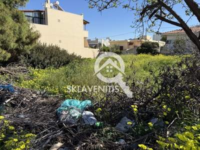 תמונת ספטה ארטמידה למכירה (1)