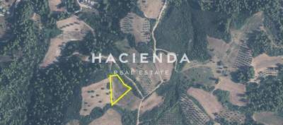 תמונת שטח חקלאי, קסנדרה למכירה (0)