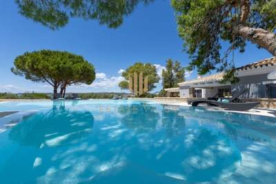 תמונת וילה, ארמיונידה, פלופונס למכירה (1)