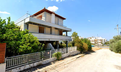 תמונת וולה, וארי - וולה -ווליאגמני למכירה (0)