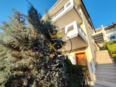 תמונת דופלקס, דיוניסוס למכירה (0)