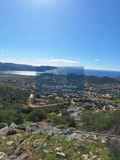 תמונת סרוניקוס, אתונה למכירה (1)