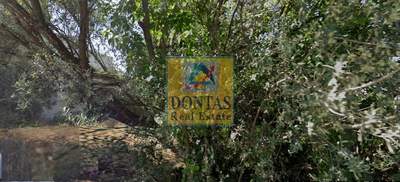 תמונת קיפיסיה, אתונה למכירה (1)