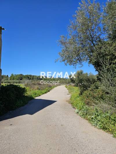 תמונת זקינתוס למכירה (1)