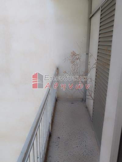 תמונת סטודיו, נאה פנגרטי למכירה (1)