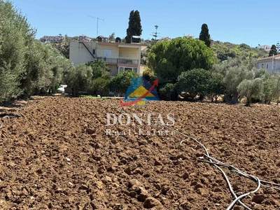 תמונת מגרש, רשות מקומית חיוס למכירה (1)