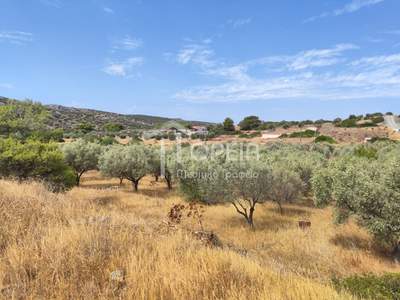 תמונת מגרש, פאליה פוקיאה, סרוניקוס למכירה (1)