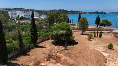 תמונת , ארמיונידה למכירה (1)