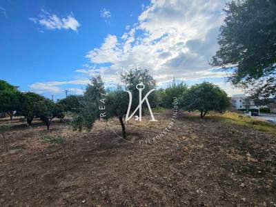 תמונת מגרש, רודוס למכירה (1)