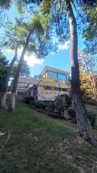 תמונת בית, דיוניסוס למכירה (0)