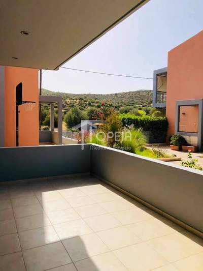 תמונת דופלקס, סרוניקוס למכירה (1)