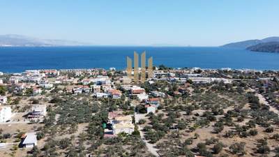 תמונת דירה, קורינתיה, פלופונס למכירה (1)