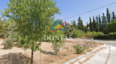 תמונת מגרש, נאה אריטאריה, קיפיסיה למכירה (1)