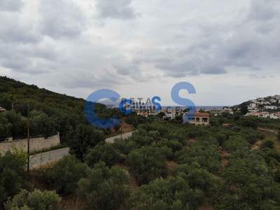 תמונת מגרש, אפוקורנס למכירה (1)