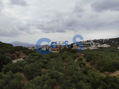 תמונת מגרש, אפוקורנס למכירה (0)