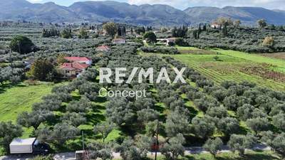 תמונת מגרש, זקינתוס למכירה (0)