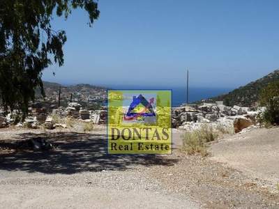 תמונת מגרש, מילופוטמוס למכירה (1)