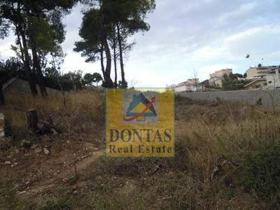 תמונת מגרש, דיוניסוס למכירה (0)