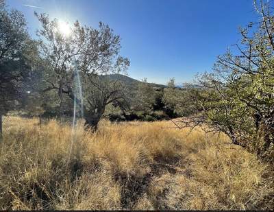 תמונת מגרש, קוס למכירה (1)