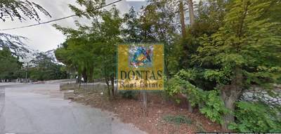 תמונת מגרש, דיוניסוס למכירה (1)